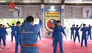vovinam digital 001