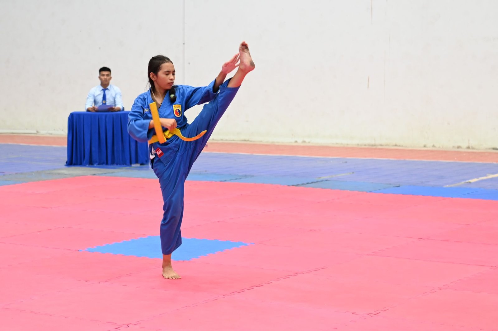 Khai mạc Giải Vovinam trẻ và vô địch tỉnh Tây Ninh năm 2024 vovinam 5833 jpg