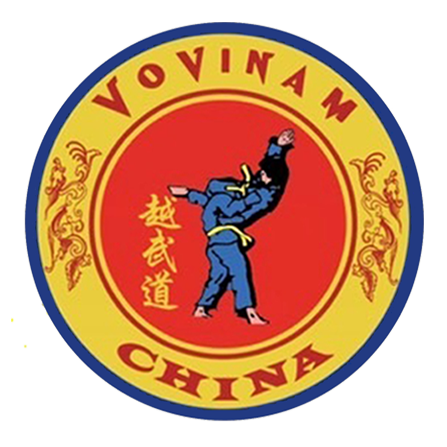 Logo of vovinam china 1