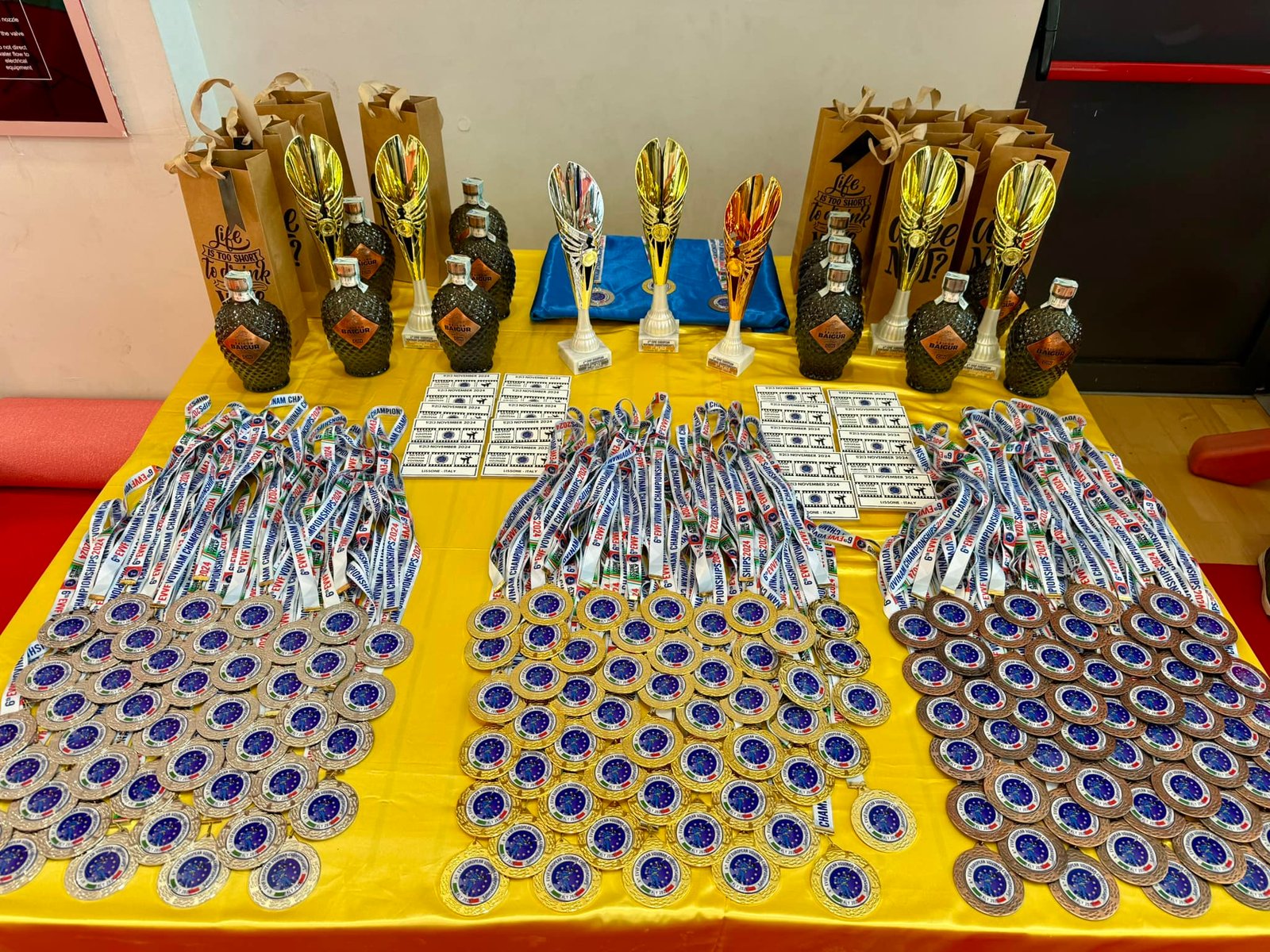 Giải vô địch Vovinam Châu Âu lần thứ VI - 2024 465439480 10162067225104176 1398886204581207996 n