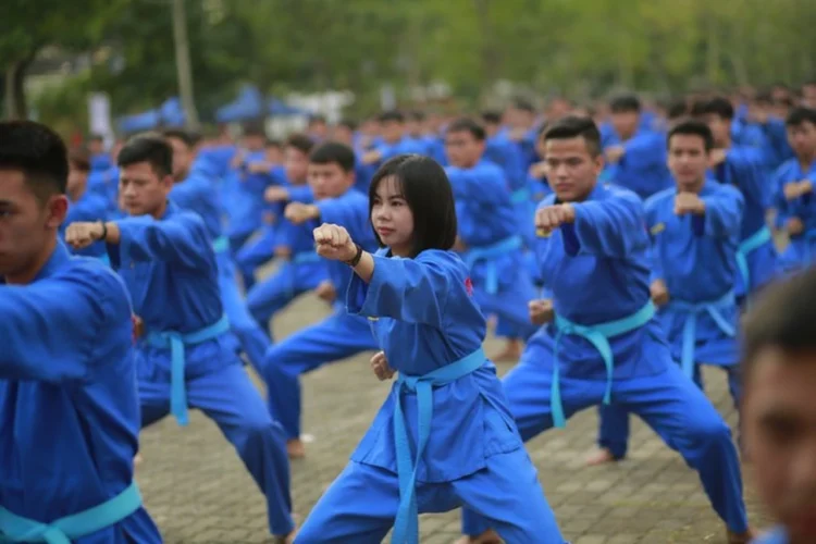 51a8551 vovinam