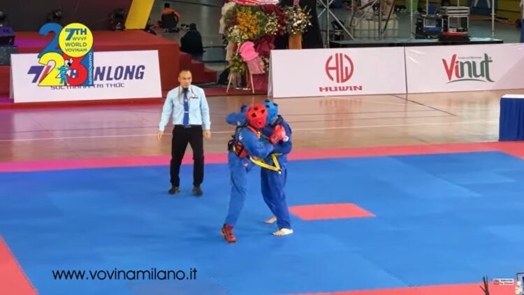 vovinam fight