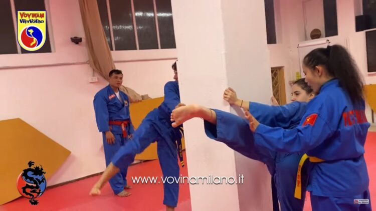 vovinam training