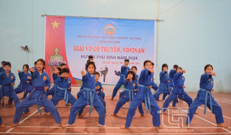 giai vo phu binh 20241209075943