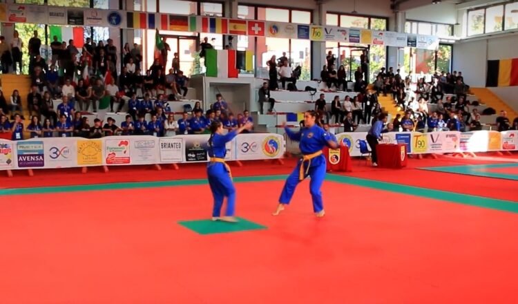 Vovinam Untitled