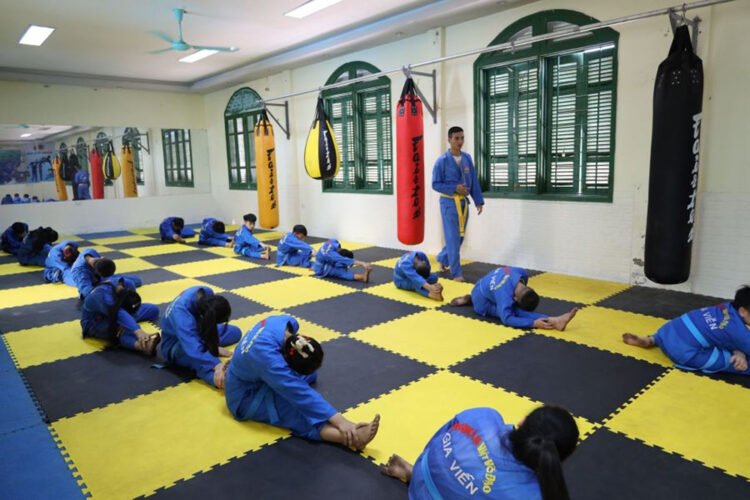 z4508863630217 vovinam