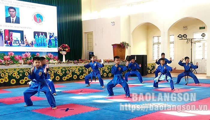 87965 vovinam