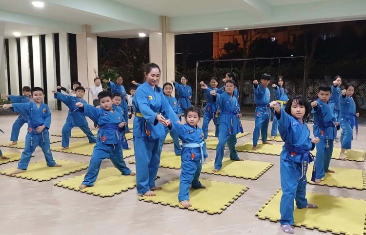 DT vovinam