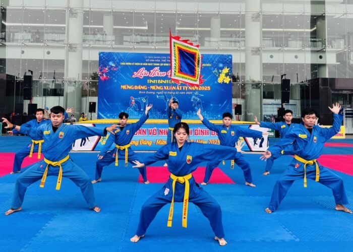 vovinam IMG 3921