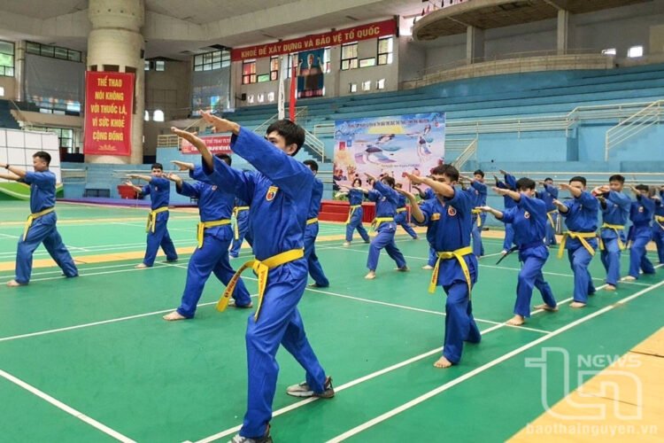 vovinam 20250217080606