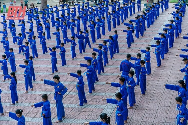 177d410380 vovinam