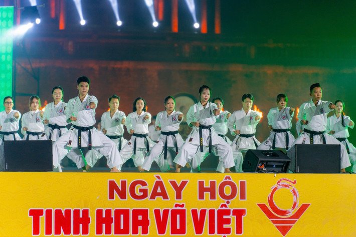 Tôn vinh, quảng bá tinh hoa võ Việt img 1222