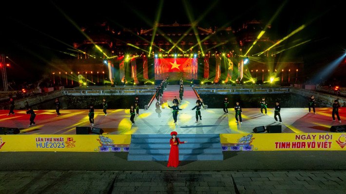 Tôn vinh, quảng bá tinh hoa võ Việt img 1226