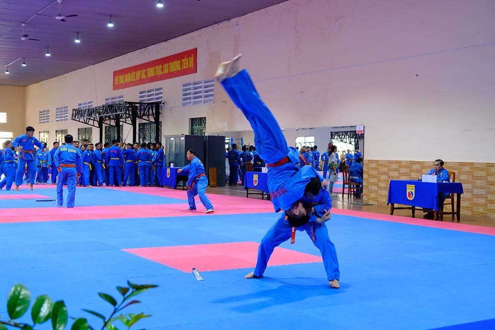 vovinam 2025 6744