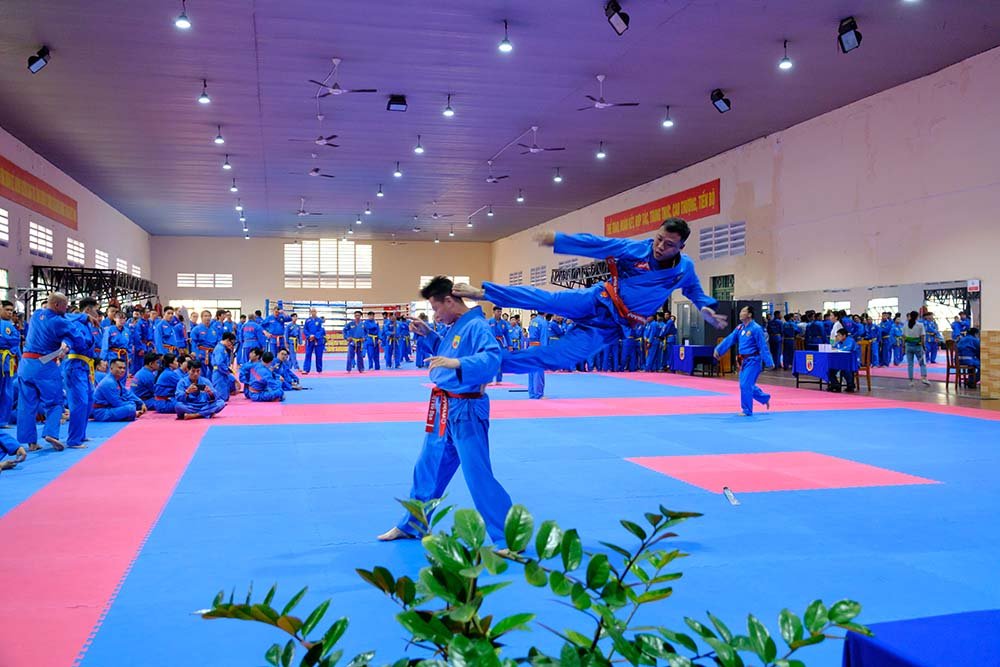 vovinam 2025 6748