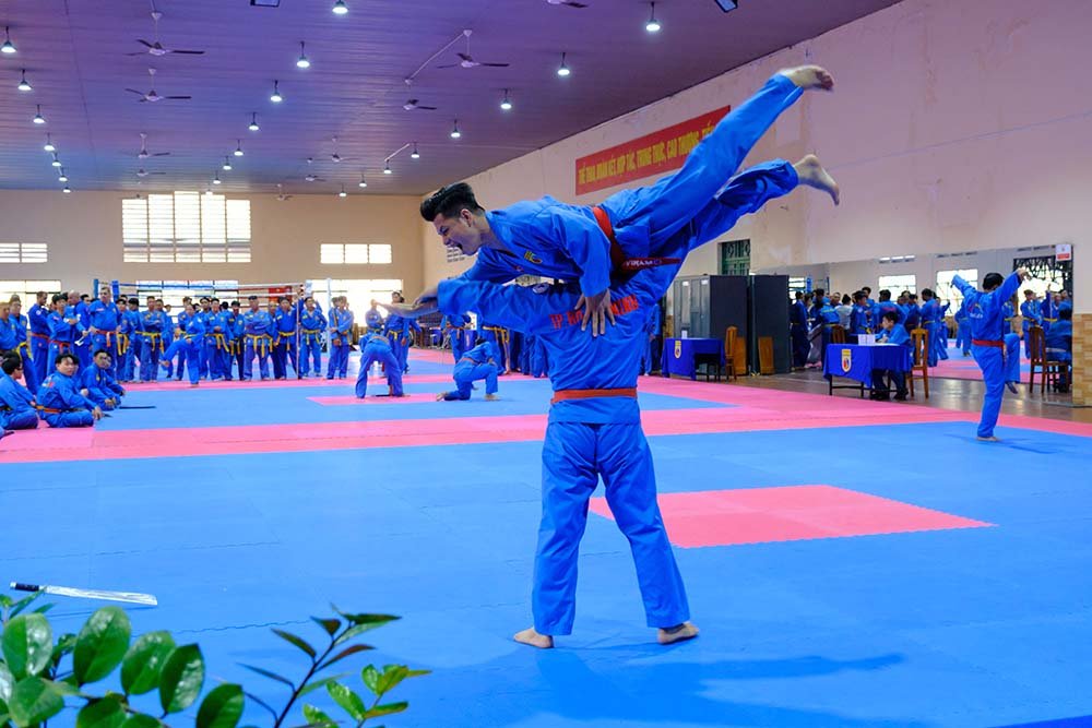 vovinam 2025 6807