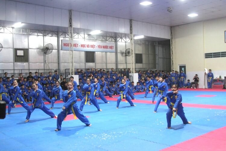 vovinam 3946