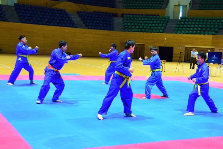 149 vovinam da nang