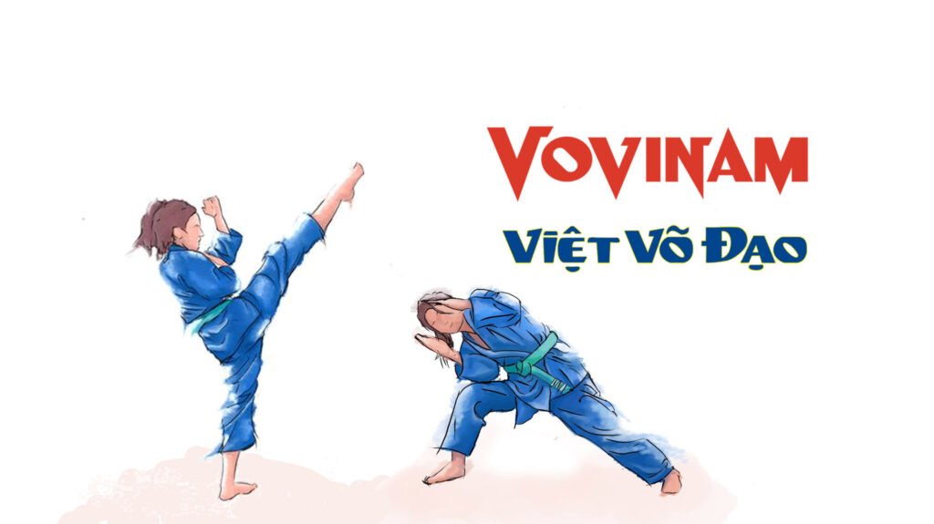 Banner vovinam 03