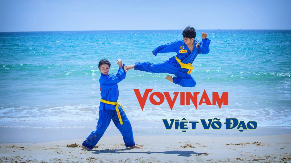 Banner vovinam 2