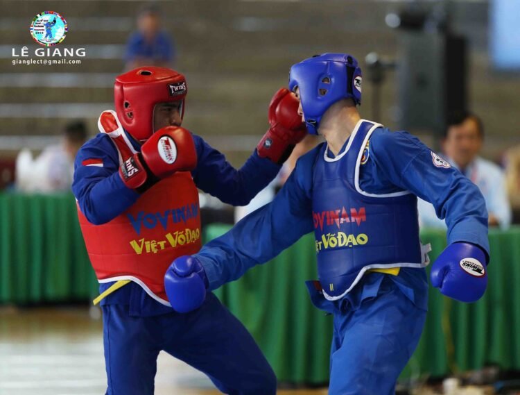 z 6230586164407959552 n 1