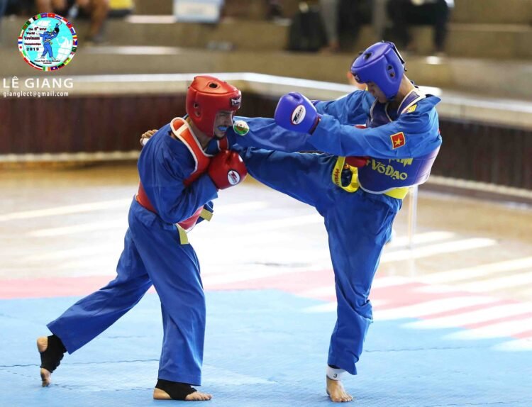 z 7494989197359448064 n 1