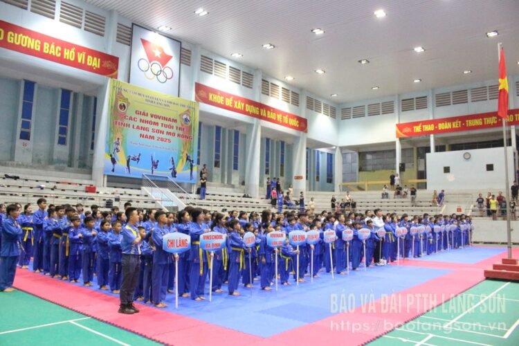 Giải trẻ Vovinam tỉnh Lạng Sơn mở rộng 579248 dc8f07b0c22b67dda18c37c5df94d3ff 22223008