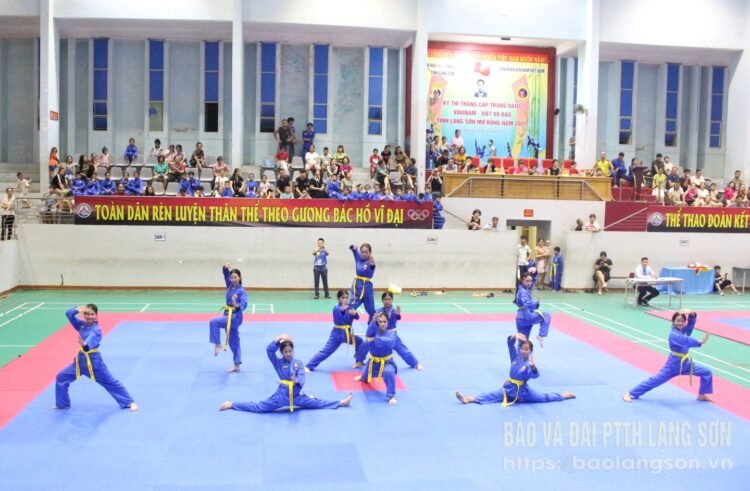 Giải trẻ Vovinam tỉnh Lạng Sơn mở rộng 579256 f86986fd76d25f496d059887b8f23231 22261708