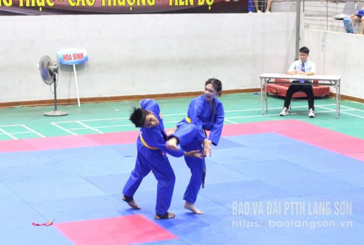 Giải trẻ Vovinam tỉnh Lạng Sơn mở rộng 579258 3e8ae478c2e106e22a27109b13fb2ba6 22283008