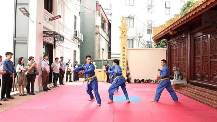 IMG 2078.Vovinam Digital