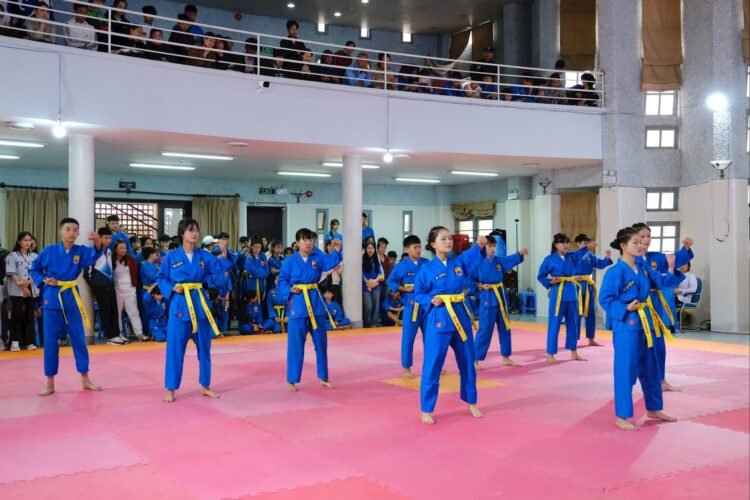 Lien hoan Vovinam Lam Dong 04
