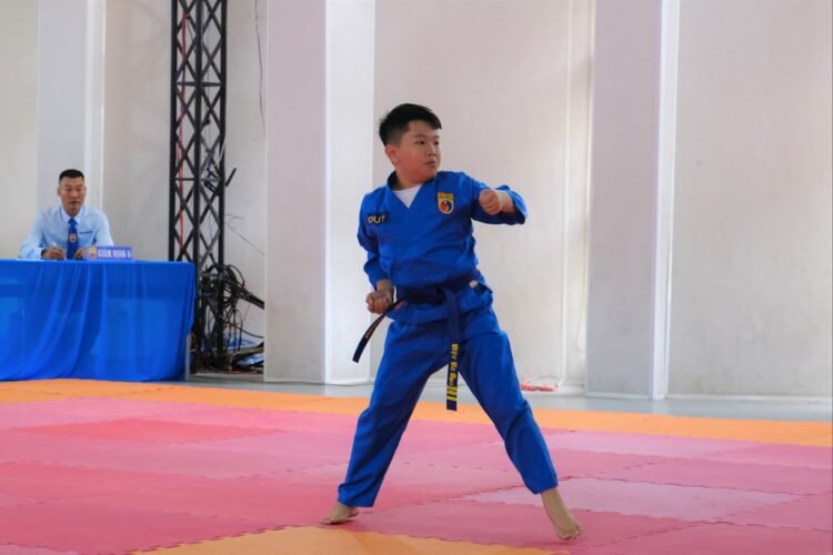 Lien hoan Vovinam Lam Dong 06