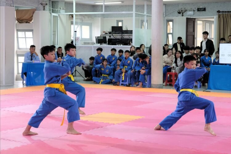 Lien hoan Vovinam Lam Dong 06b