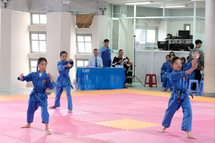 Lien hoan Vovinam Lam Dong 08