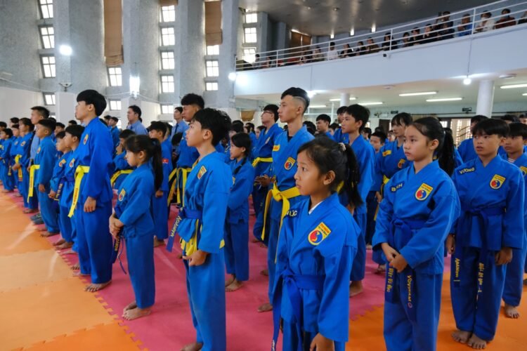 Lien hoan Vovinam Lam Dong
