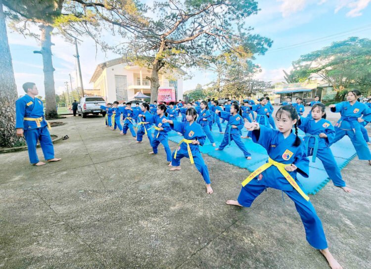 Vovinam IaGrai 00