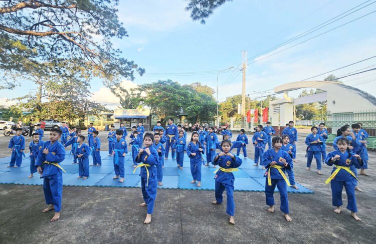 Vovinam IaGrai 00b