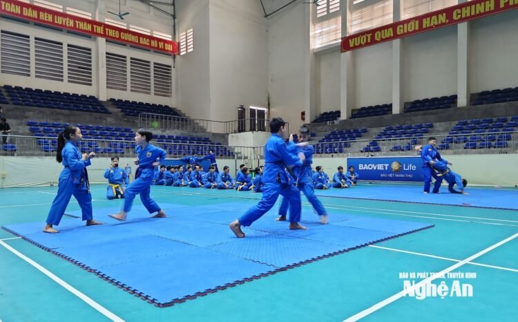 bna danh vovinam