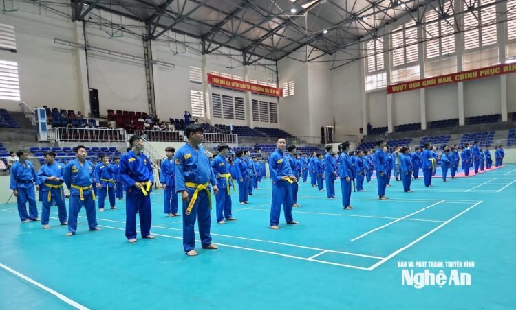 bna vovinam 1