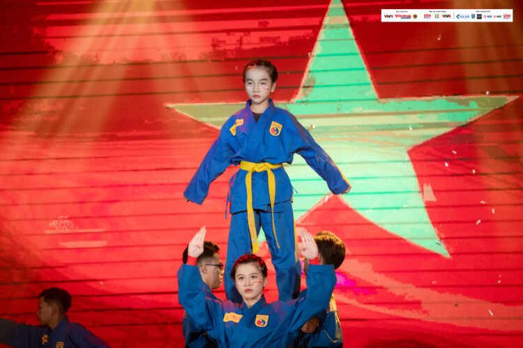 Vovinam.digital 293