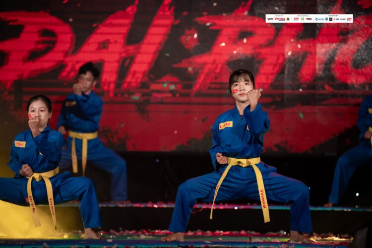 Vovinam.digital 381