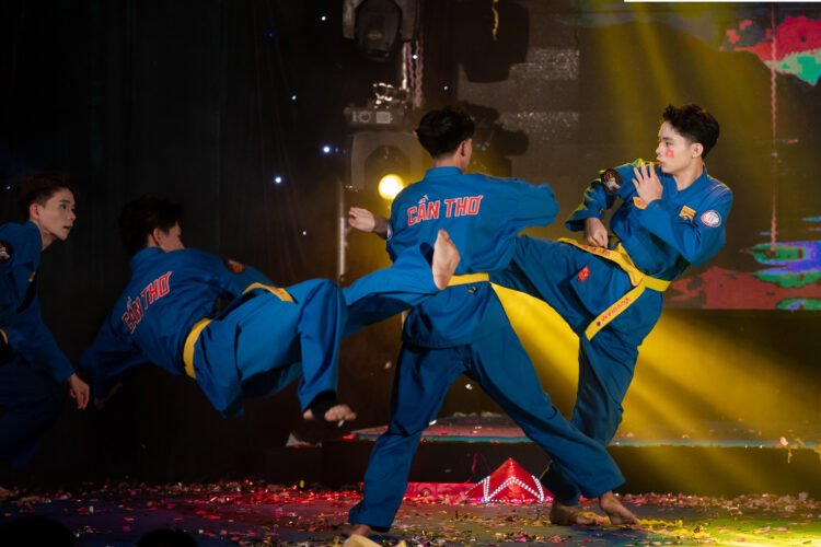 Vovinam.digital 476