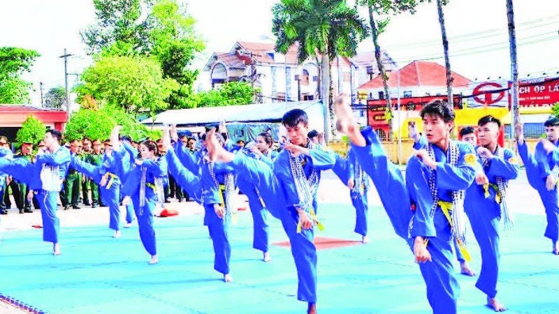vovinam image