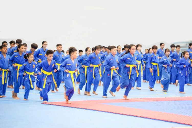 giai vovinam jyfd