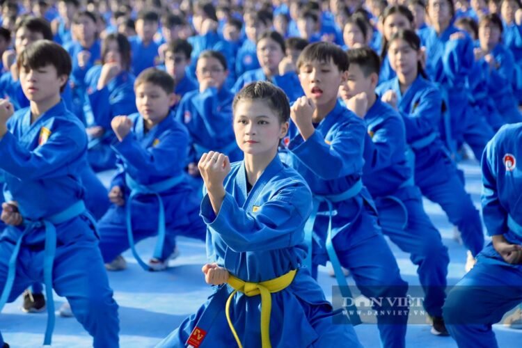 Vovinam lập kỷ lục thế giới: 60.000 võ sinh đồng diễn võ nhạc 121120lhg 2083 1115