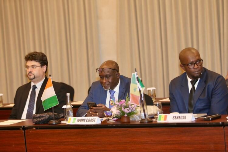 574268650 1126950329612319 6812729338462774530 n