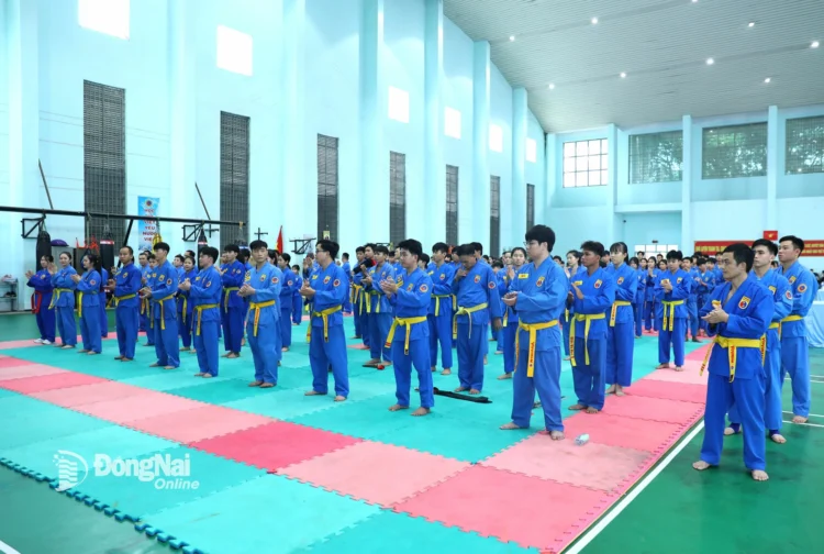 img 0537 20251123112255