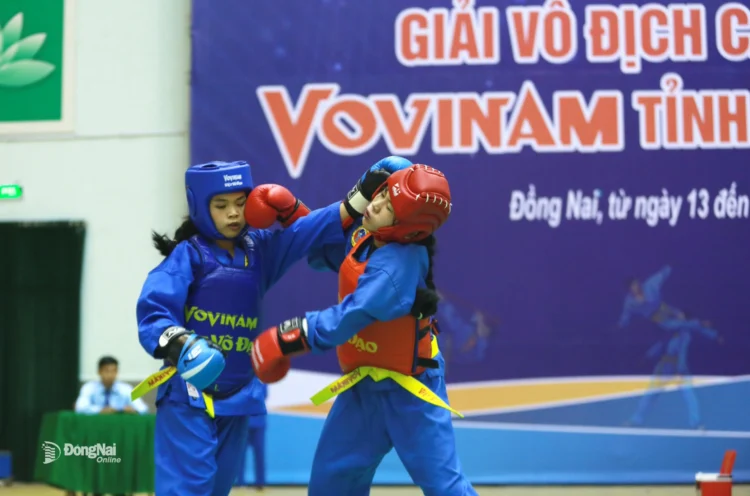 img 8107 20251114115122