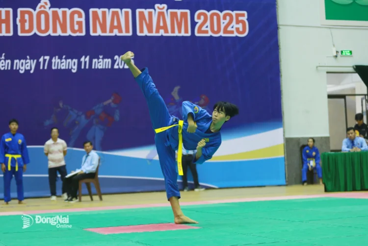 img 8163 20251114120146