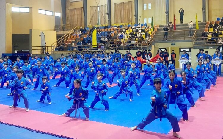 Vovinam 5178200